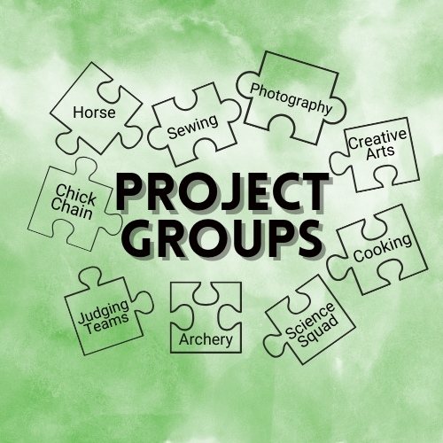 4-H Project Groups